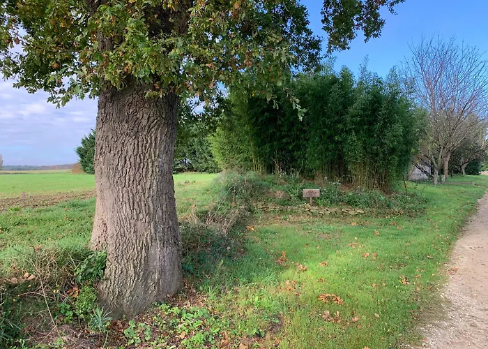 Roulotte Et Nature *